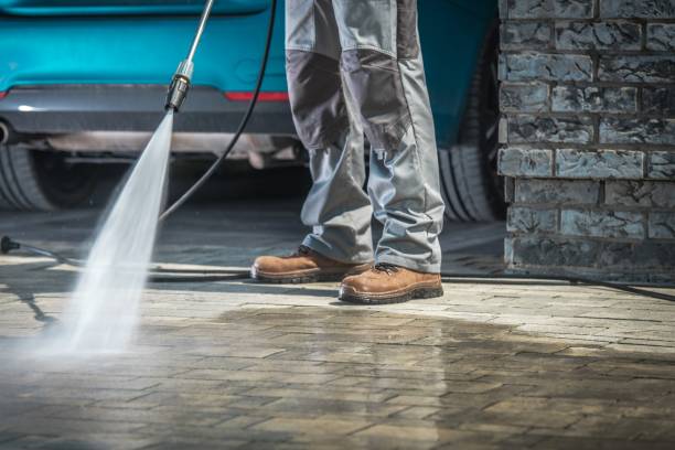 Best Fleet Vehicle Washing  in Roseland, FL