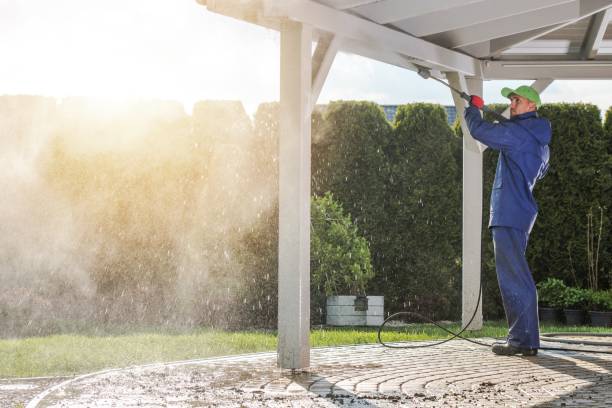 Best Roof Washing  in Roseland, FL