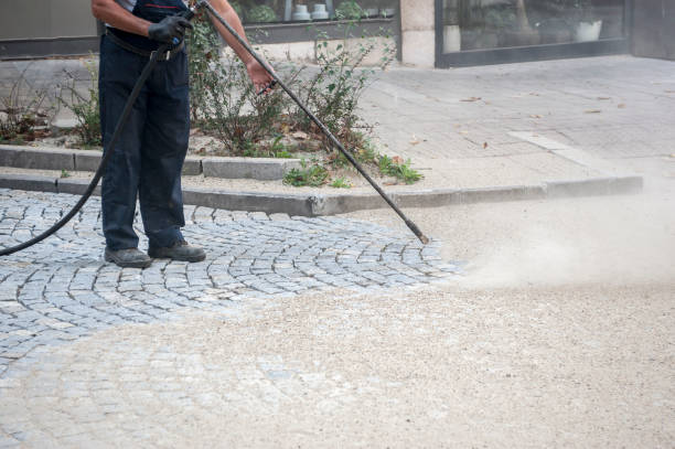 Best Driveway Pressure Washing  in Roseland, FL