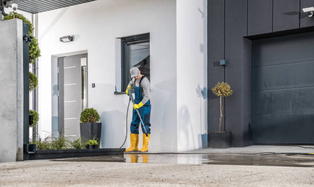 Best Animal Enclosure Cleaning  in Roseland, FL